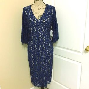 Alexia Admor Size Large Navy Lace Dress